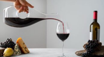 Desvelando los Secretos del Pinot Noir: Un Viaje Sensorial entre el Viejo y el Nuevo Mundo