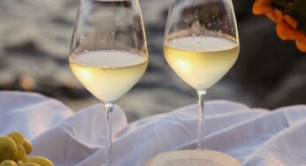 Vino Albariño: historia, sabor y producción en Argentina